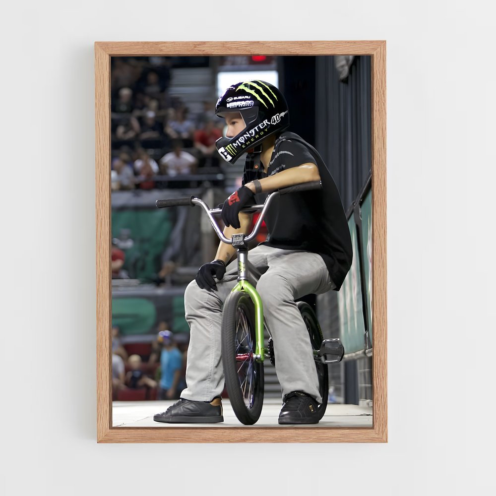 Poster BMX Thrills (vue 4)